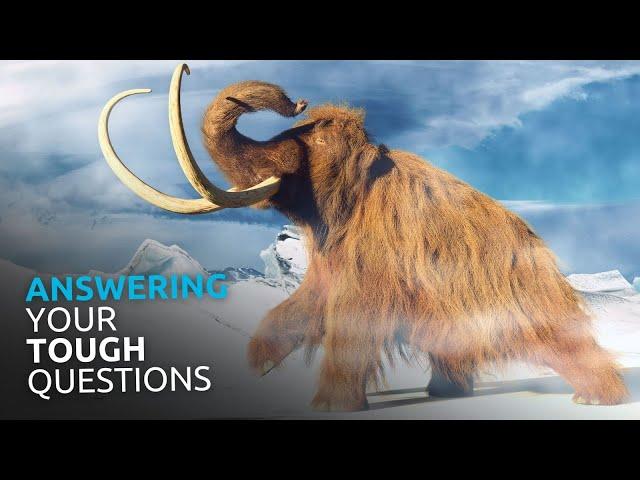 What Does the Bible Say About the ICE AGE?