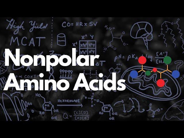 Nonpolar Amino Acids: Aliphatic and Aromatic | MCAT