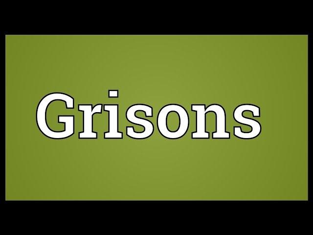 Grisons Meaning