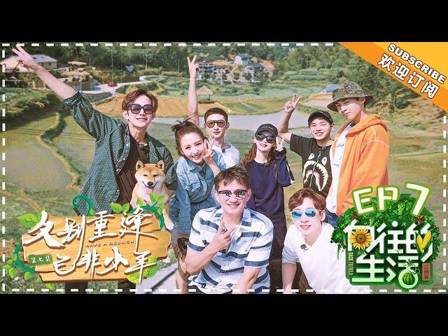 【ENG SUB】《向往的生活2》第7期：佟丽娅贤惠乖巧忙成“陀螺”！黄磊做熏鱼吃哭戚薇？Back to field S2 EP7【芒果TV生活风尚频道】