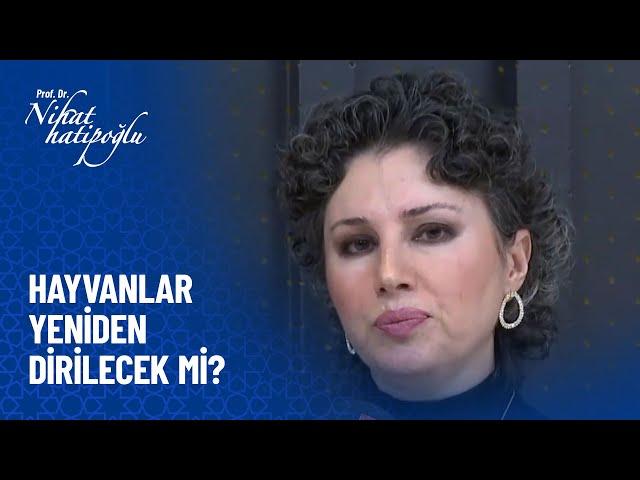 Hayvanlar yeniden dirilecek mi? - Nihat Hatipoğlu