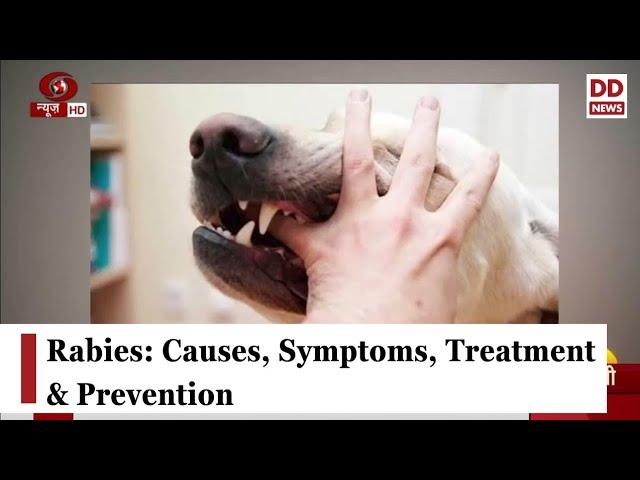 Rabies: Causes, Symptoms, Treatment & Prevention