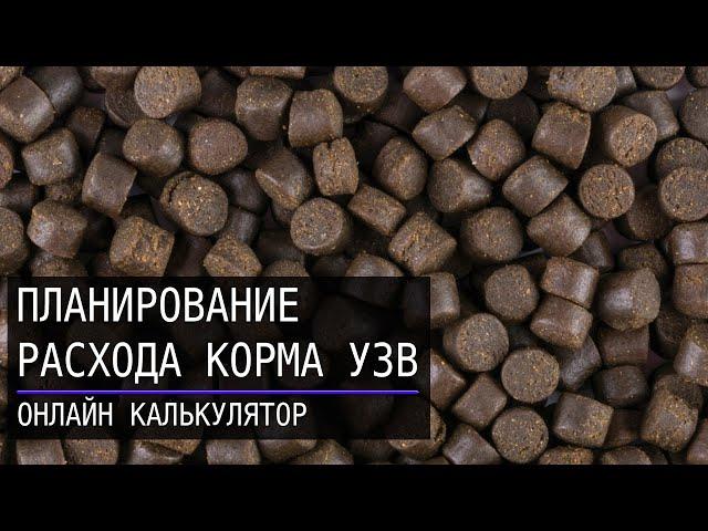 Как рассчитать количество корма для рыбы в УЗВ