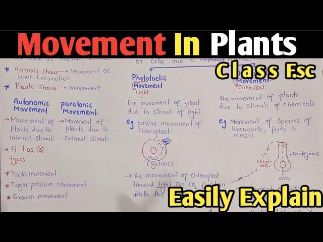 Movement In Plants | Autonomic Movement | Tactic, Turgor Pressure & Growth Movement | Class 12