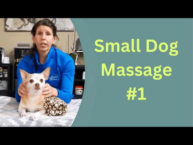 Small Dog Massage Techniques | Part 1