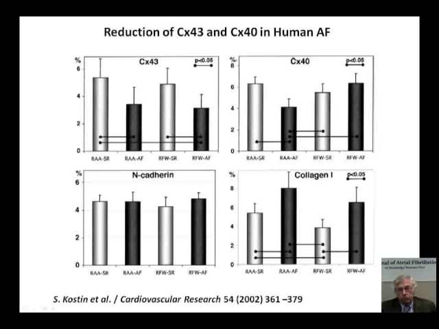 Gap Junction Remodeling in the Atrial Fibrillation Arrhythmogenic Substrate