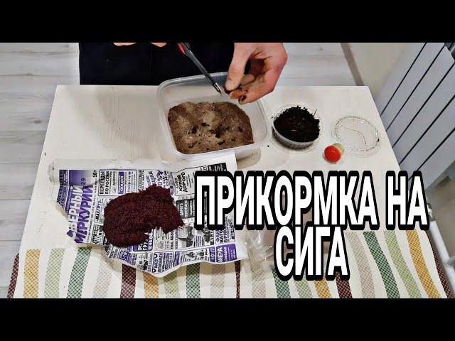 #прикормка Сиг обожает её. Самая простая и рабочая прикормка на сига зимой. Зимняя прикормка.