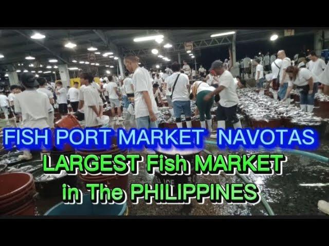 FISH PORT MARKET NAVOTAS CITY PHILIPPINES