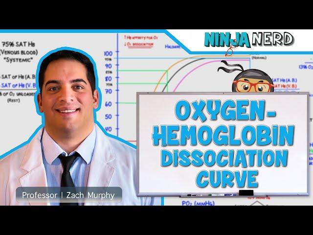 Respiratory | Oxygen-Hemoglobin Dissociation Curve