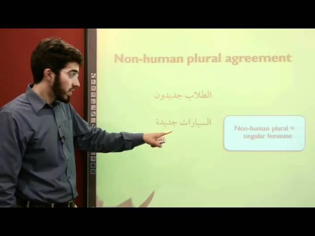 Al Kitaab 2.2 | Non-human Plural Agreement | Learn Arabic Grammar for Beginners