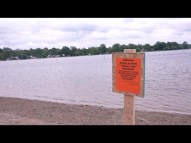 Where does excess E. coli in water like Park Lake come from and how can it be fixed?