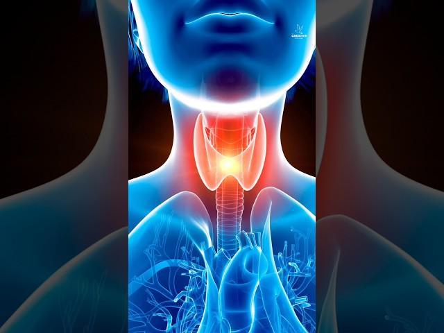 learn in 1 minute all diseases of Thyroid glands. how they present