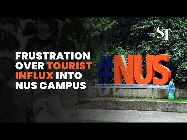 Overcrowding, disruptions: How NUS becoming a tourist hotspot is impacting students