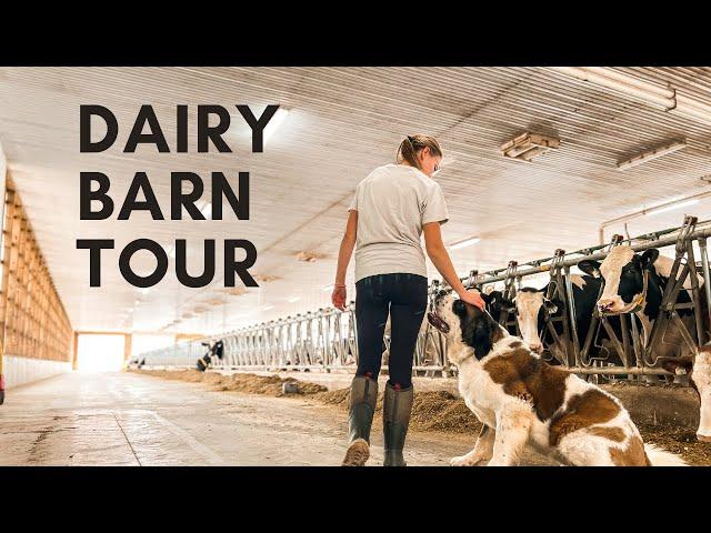 Guided Barn Tour! Modern Dairy Farm Tour (Part 1)