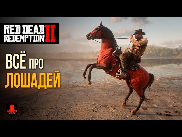 ВСЁ ПРО ЛОШАДЕЙ в Red Dead Redemption 2 | RDR2