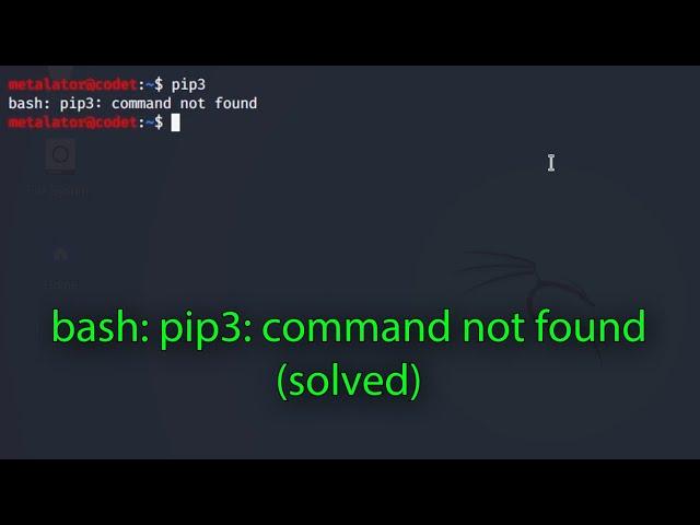 pip3 command not found (solved)