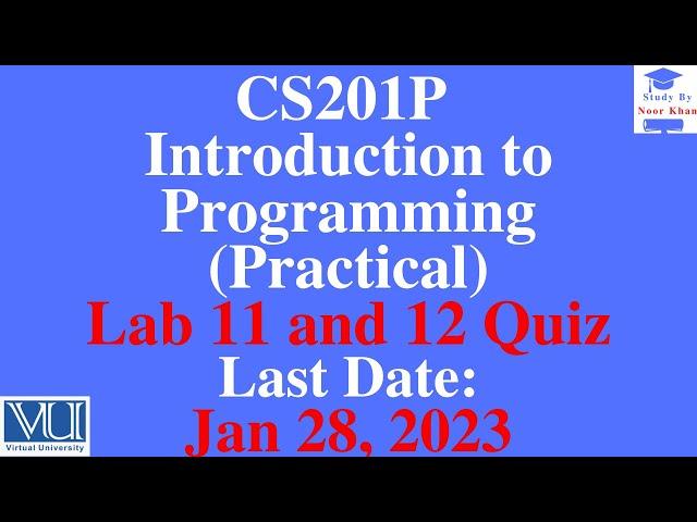 CS201P-Introduction to Programming Lab 11 and 12 Quiz solution|CS201P Lab 11 and 12 Quiz 2023#cs201p