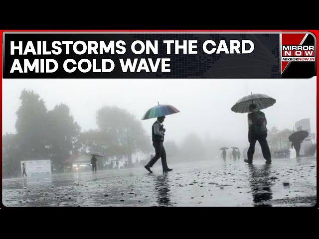 IMD Predicts Thunderstorm As Rain Lashes Delhi; Fresh Western Disturbance On The Card Amid Cold Wave