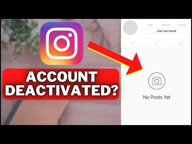 How To See If Someone DEACTIVATED Their Instagram Account