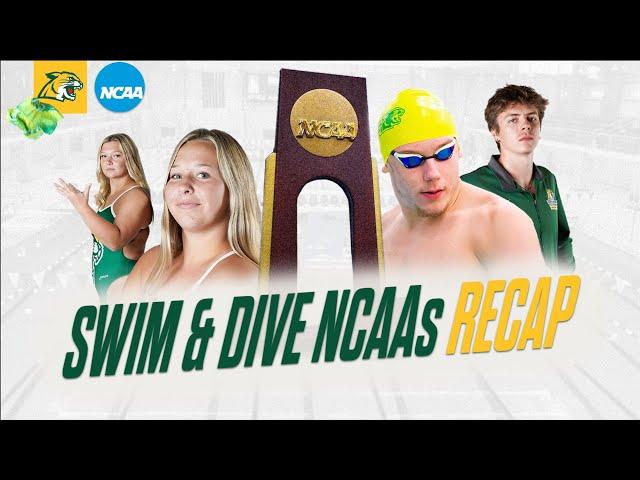 NMU Swim and Dive's RECORD BREAKING Performance at NCAA Championships