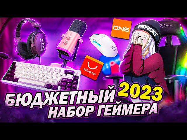 БЮДЖЕТНЫЙ НАБОР ГЕЙМЕРА 2023 с Aliexpress и DNS | Игровые девайсы, мышки, наушники, клавиатура, ИТОГ