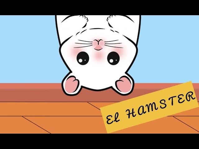 MI AMIGO EL HAMSTER - CANCIÓN INFANTIL #cancionesparaniños #musicainfantil   #cancionesdeanimales