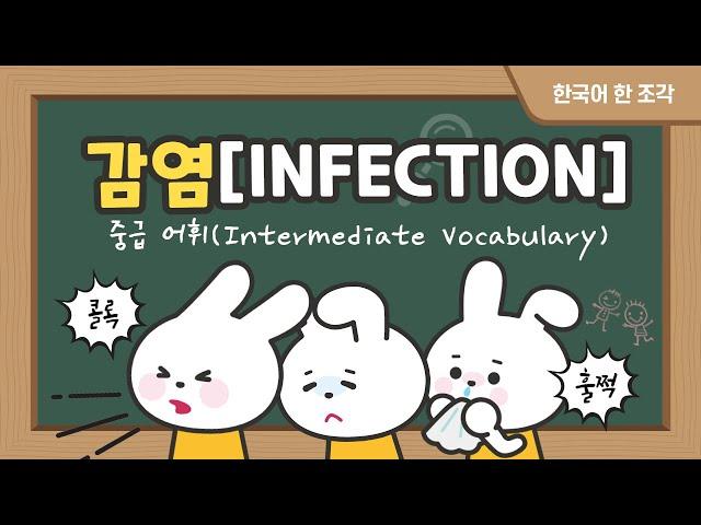 【한국어 배우기】 한국어 중급 어휘 005, Intermediate Vocabulary ,감염(Infection)