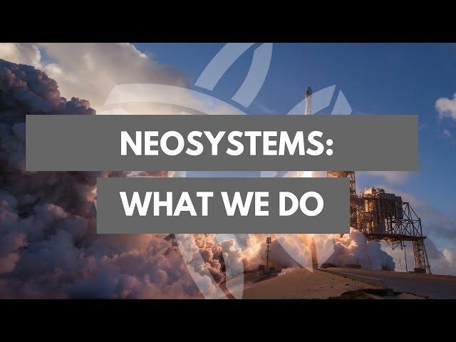 What We Do | NeoSystems