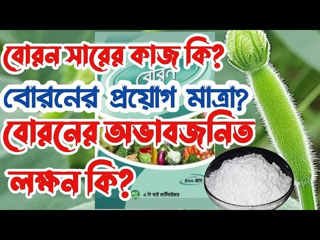 বোরন সারের কাজ, অভাবজনিত লক্ষন এবং বোরনের প্রয়োগ মাত্রা