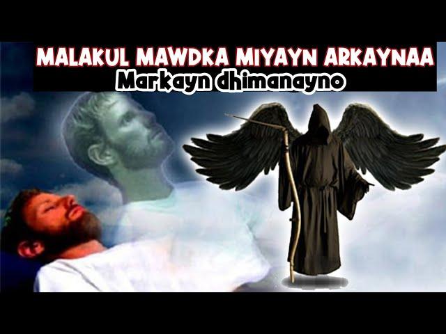 Marka ayn sii dhimanayno miyayn arkaynaa malakul mawdka |Dhimashada