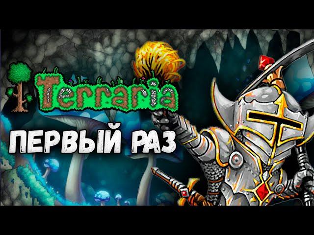 ПЕРВЫЙ РАЗ в Terraria!