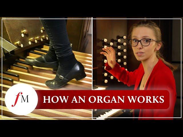 How does a pipe organ actually work? | Anna Lapwood | Classic FM