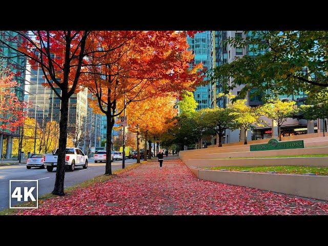 【4K】Vancouver Walk| Georgia Street from Stanley Park to BC Place Canada (Binaural City Sounds)