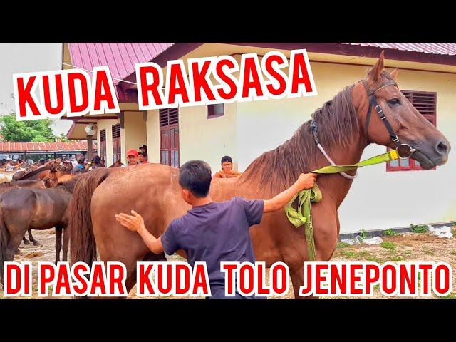 PASAR KUDA | KUDA RAKSASA BIG HORSE DI PASAR KUDA JENEPONTO | PASAR KUDA PART 100