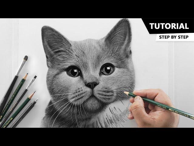 How to Draw Realistic Cat for BEGINNERS | Fur Drawing Technique