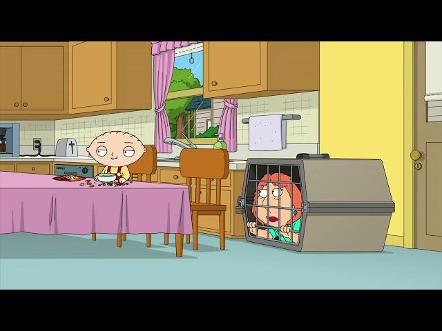 Family Guy - Stewie, Stewie? Stew? Stewart? Stew? Stewie?