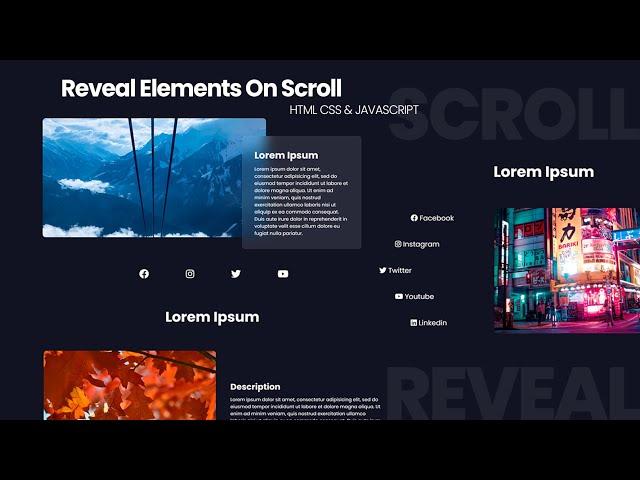 How to Make Website with Scroll Reveal Effects | Reveal Elements On Scroll - HTML, CSS & Javascript