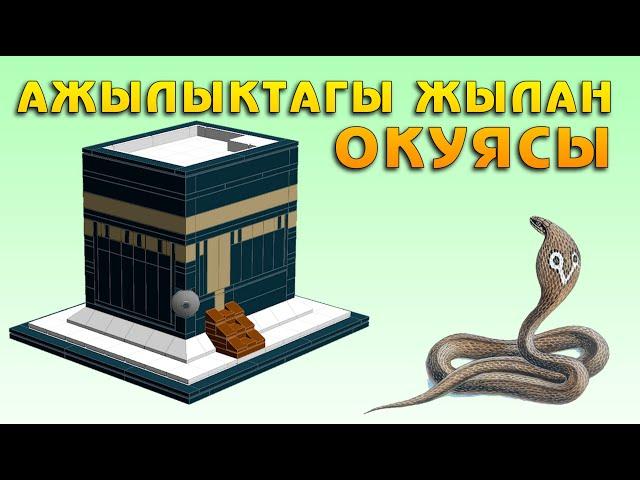 АЖЫЛЫКТАГЫ ЖЫЛАН ОКУЯСЫ / УМРАГА БАРУУЧУЛАР ҮЧҮН ТЕЛ: 0773 691 877