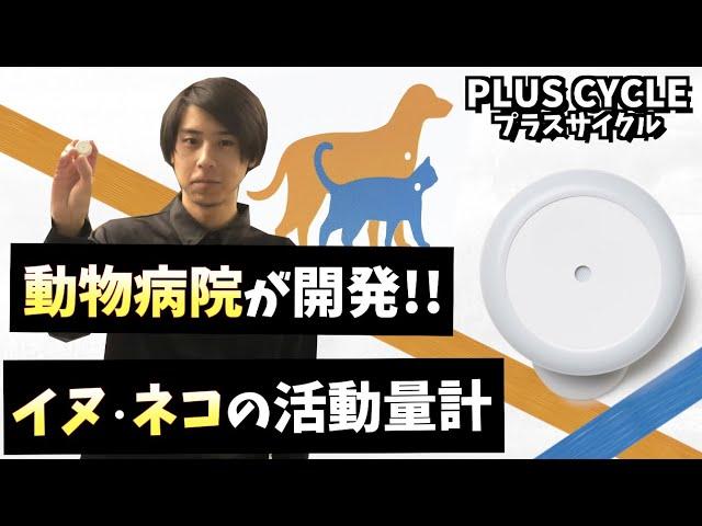 【PLUS CYCLE】犬猫用の活動量計!!体調の変化を素早く発見!!