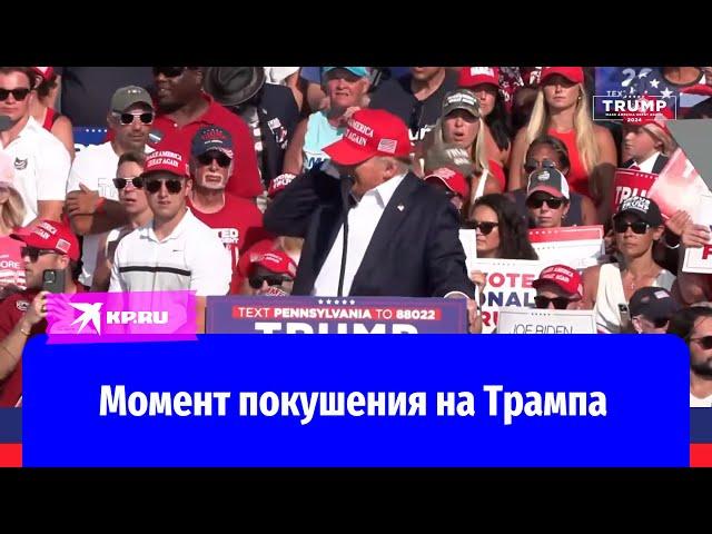 Момент покушения на Дональда Трампа попал на камеру