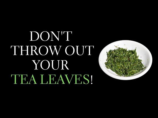 Don't Throw Out Your Tea Leaves - Do this instead!