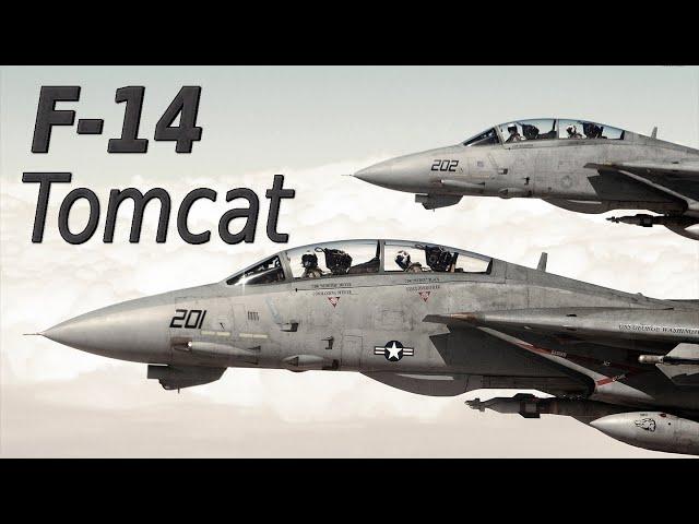 F-14 Tomcat | Tooth and Claw