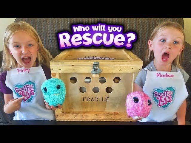 Rescued Crate Creatures! We Found them Scruffy and MakeThem Fluffy! Scruff a Luvs Toy Unboxing!