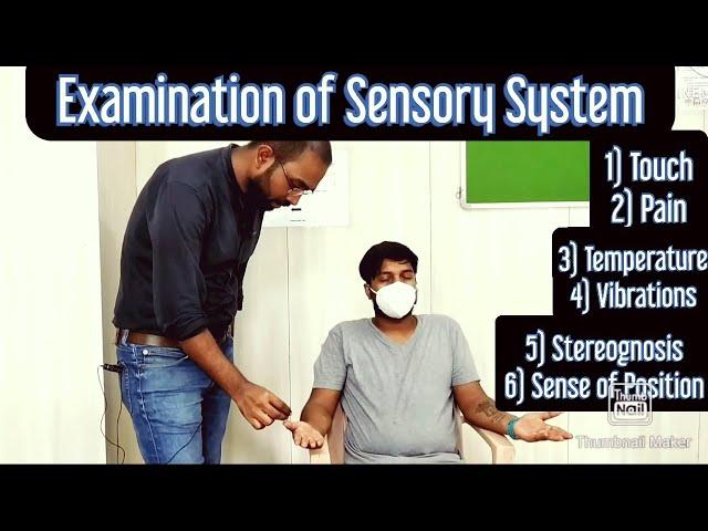 CNS - Examination of Sensory system (Upper Limb), English/Hindi, #MBBS, #NEXT, #NEETPG