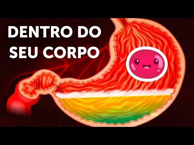 Uma Jornada Dentro Do Corpo Humano