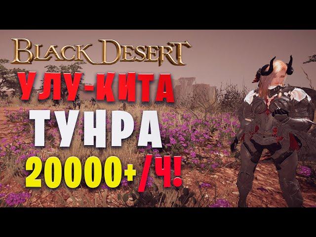 Улу-кита (Тунра) | 2 свиток  20000+ | Страж в наследии (Black Desert)