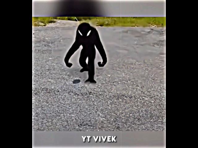 Skinwalker Monkey 