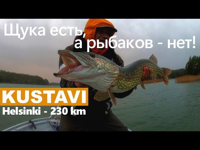 Pike fishing in Kustavi, Turku archipelago, Finland