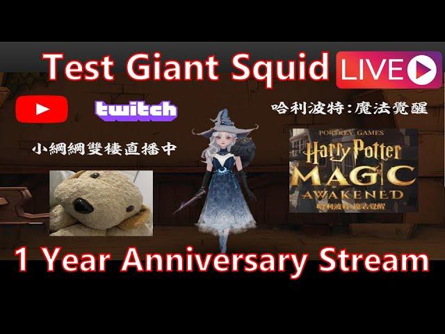 ENG/中文  1 Year Anniversary Stream Test Giant Squid HPMA Ambassador Kang Magic Awakened 小綱綱Kang