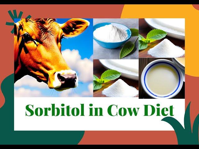 Sorbitol in Dairy Cow?